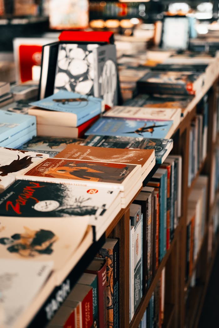 Books arranged on a shelf in a cozy Istanbul bookstore showcasing diverse titles.